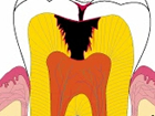 Odontopediatría